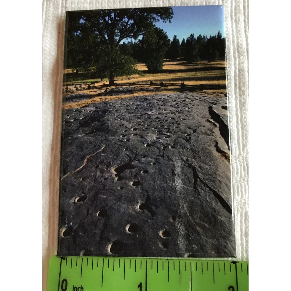 Collectible Photo Magnet Frank Balthis 2 x 3